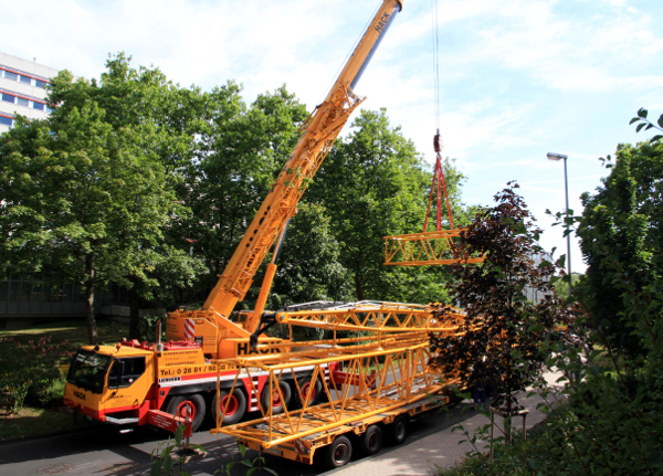 Grove rises above the trees for Hack